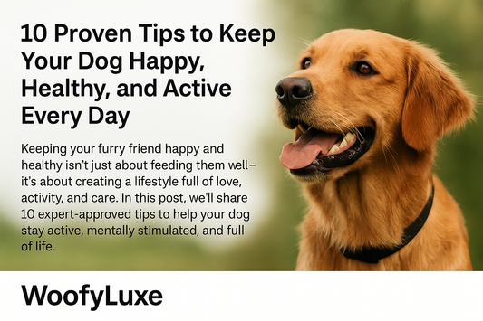 10 Proven Tips to Keep Your Dog Happy, Healthy, and Active Every Day