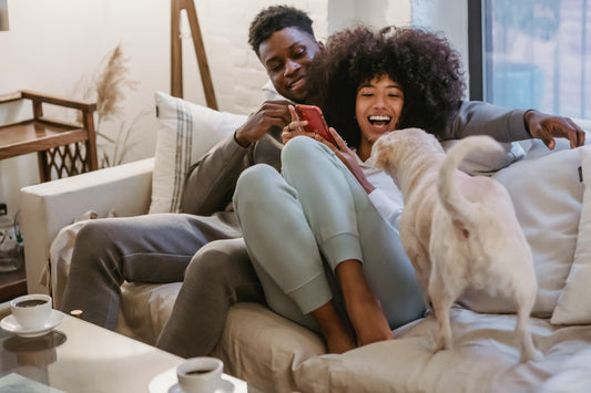 Must-Have Dog Accessories for 2025: Style, Comfort, and Play Combined!