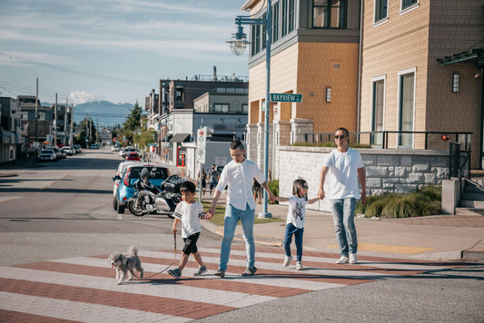 Complete Guide to Traveling with Your Dog: Tips, Packing List & Safety Advice