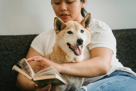 5 Best Chew Toys to Keep Your Dog Happy and Healthy in 2025