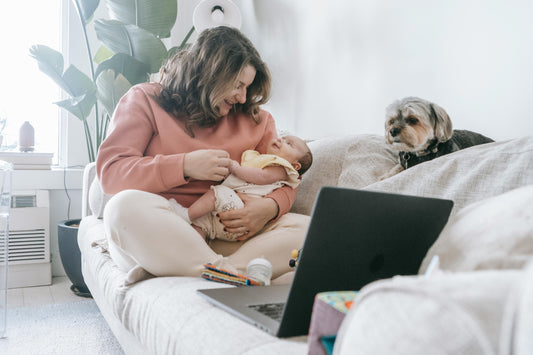 Top 7 Must-Have Dog Care Products Every Pet Parent Needs in 2025