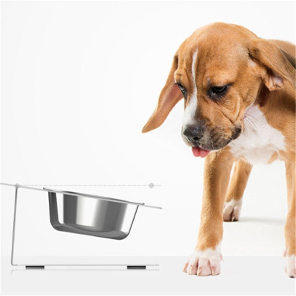 Anti-Falling Cat & Dog Feeding Water Bowl – Inclined Design, Stainless Steel Pet Bowl (Black/White/Pink/Blue) - woofyluxe