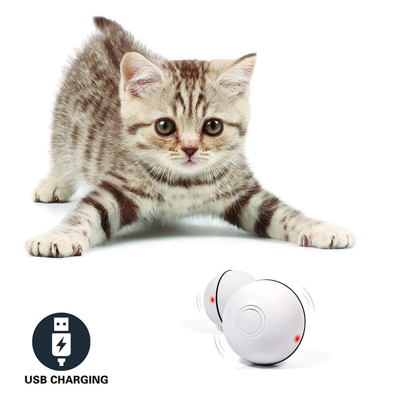 Rechargeable LED Laser Rolling Cat Toy Ball with Catnip – Interactive 360° Rotating Smart Pet Toy - woofyluxe
