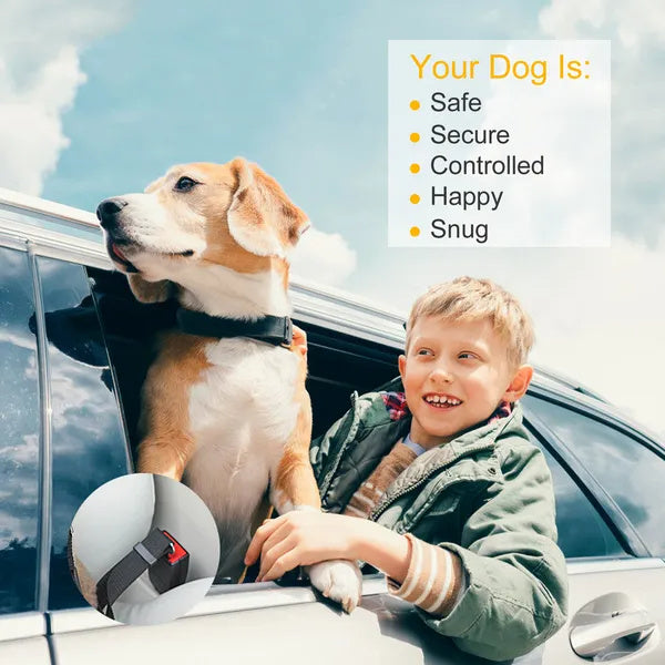 2Pcs Adjustable Dog Cat Seat Belt Harness – Pet Car Safety Leash for Small, Medium & Large Pet - woofyluxe