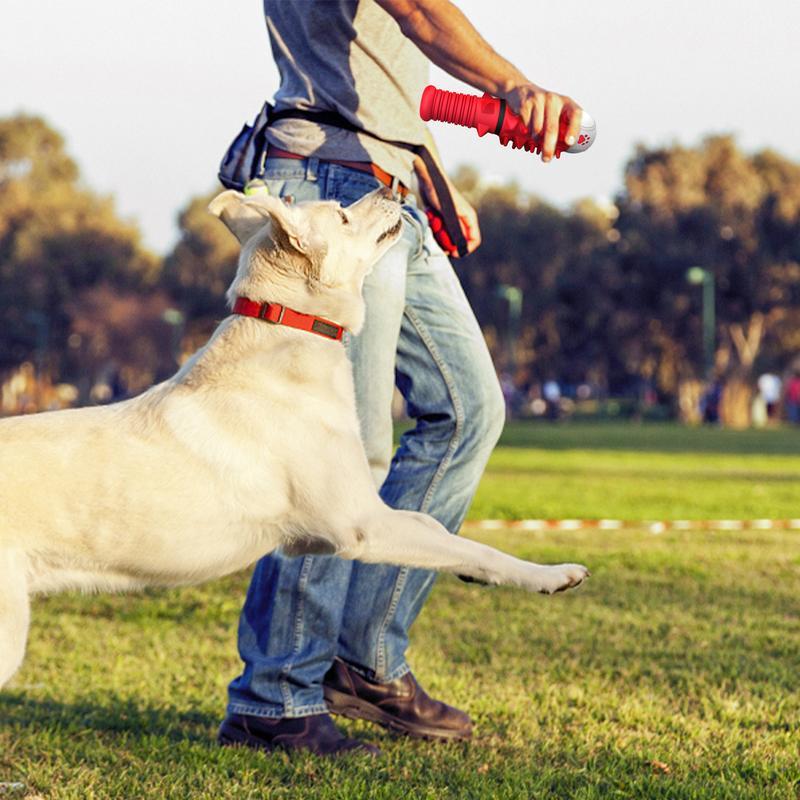 Interactive Dog Chew Toy for Medium & Large Dogs | WoofyLuxe - woofyluxe