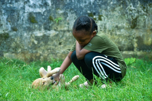 The Ultimate Guide to Puppy Training: Tips for Raising a Well-Behaved Dog