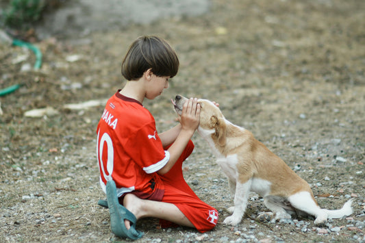 10 Smart Tips to Keep Your Dog Cool and Comfortable in Summer