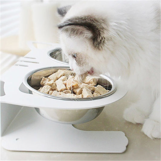 Anti-Falling Cat & Dog Feeding Water Bowl – Inclined Design, Stainless Steel Pet Bowl (Black/White/Pink/Blue) - woofyluxe