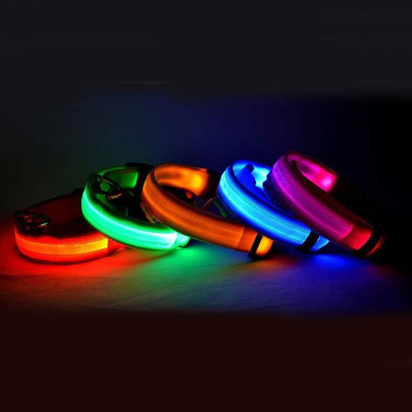 Nylon LED Pet Dog Collar – Luminous Night Safety Flashing Glow in Dark Adjustable Collar for Dogs & Cats (USB Rechargeable / Battery Version)