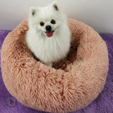Calming Donut Dog Bed – Round Plush Pet Nest for Small Dogs & Cats (3 Sizes) - woofyluxe
