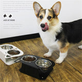Anti-Falling Cat & Dog Feeding Water Bowl – Inclined Design, Stainless Steel Pet Bowl (Black/White/Pink/Blue) - woofyluxe