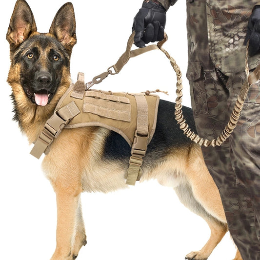 Elastic Bungee Dog Leash for Outdoor Training – Heavy-Duty, Shock-Absorbing Nylon Traction Rope - woofyluxe